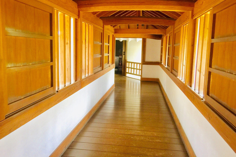 Himeji: tour de medio día con guía privado por el castillo desde OsakaTour de medio día con guía privado al Castillo de Himeji