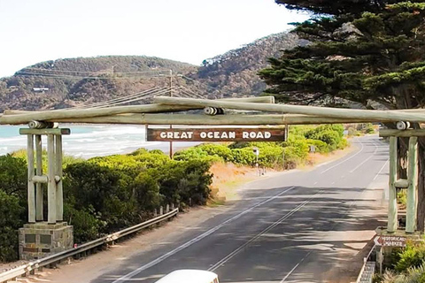 Melbourne: Twelve Apostles&Great Ocean Road,Find Koala Tour