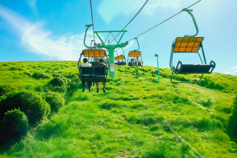 Tokio: Izu-schiereiland Trein Mt Omuro, Capibara-sightseeingtripGroepstour met 07:20 uur Meetup op het station van Tokio
