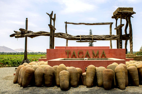 Da Ica: Tour della cantina con degustazioni di Pisco e vinoDa Ica: Tour della cantina con degustazione di pisco e vino