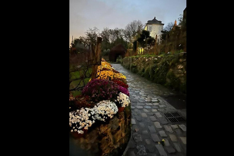 Montmartre for Art Lovers - Walking tour with Expert Guide Montmartre for Art Lovers - Fun walking tour with Billy.
