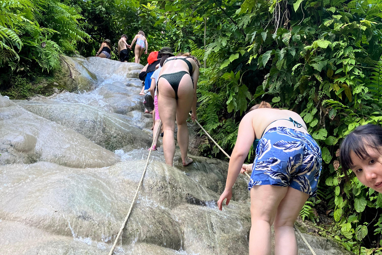 Chiang Mai: Sticky Waterfall naturskön slinga osedd sjö &amp;tempelGruppresa med mötesplats