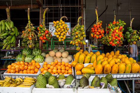 Costa Rica in 4 Days: Wildlife, Hot Springs & Tortillas