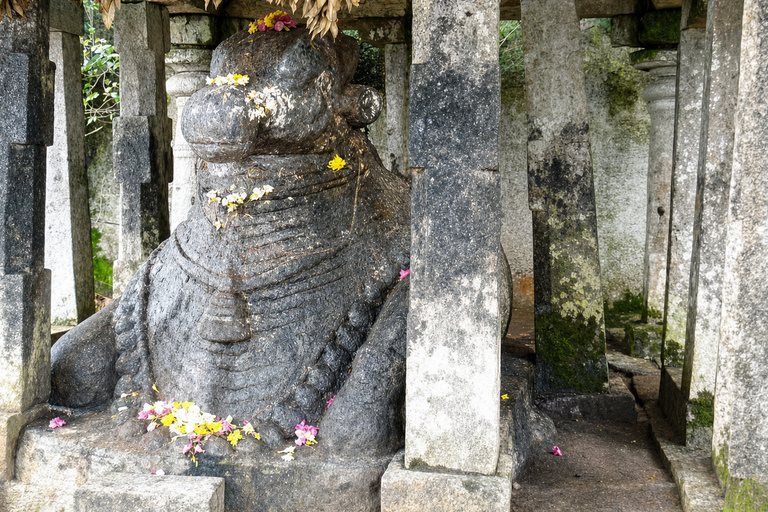 From Bangalore: Between Hindu Shrines and a Sultan's Palace