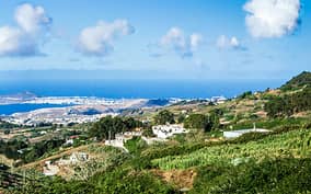  - Canarie.it
