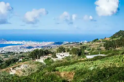 From Las Palmas: Santa Brígida, San Mateo and Teror Street Markets