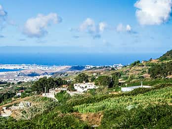 From the south and Las Palmas to: Santa Brígida, San Mateo and Teror Markets.