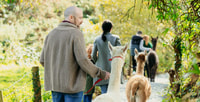Guided Alpaca Trekking & Optional Luxury Picnic Hampers - Housity