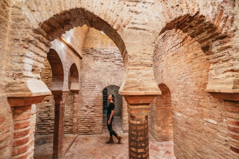Alhambra: entrada y tour guiado Palacios Nazaríes y jardines