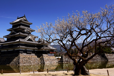 Z Tokio: Nagano, świątynia Zenkoji, wycieczka 1-dniowa ze śnieżnymi małpamiZ Tokio: Prywatna 1-dniowa wycieczka do Nagano, świątynia, śnieżne małpy