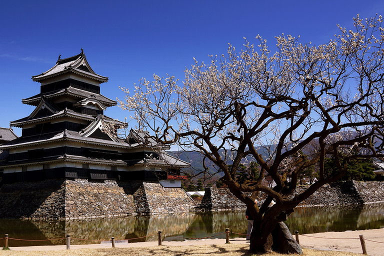 Z Tokio: Nagano, świątynia Zenkoji, wycieczka 1-dniowa ze śnieżnymi małpamiZ Tokio: Prywatna 1-dniowa wycieczka do Nagano, świątynia, śnieżne małpy