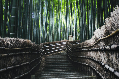 Kyoto: private, englisch geführte, individuelle Tour (Abholung vom Hotel)