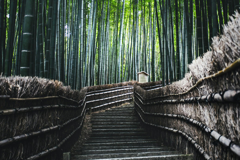 FRÅN KYOTO/NARA: Highlight skräddarsydd resa med upphämtning från hotell