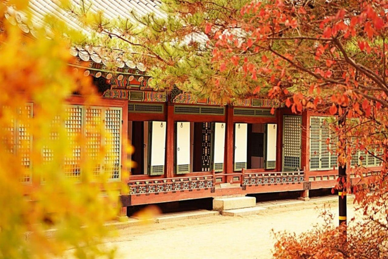 Seoul: Scenic Autumn Maple Tour
