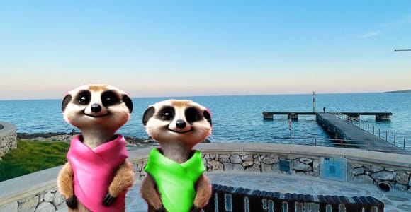 Cala Millor: Magische Kreaturen von Cala Millor, Familienspiel