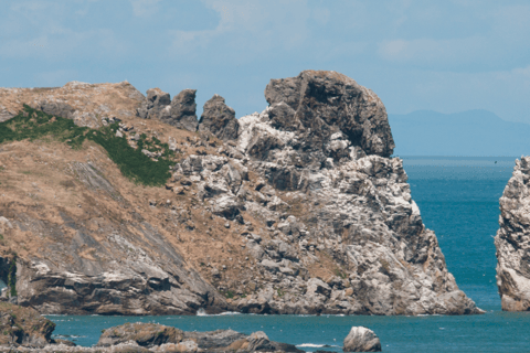 Dublín: Tour en barco por la Bahía de Dublín y el Ojo de Irlanda