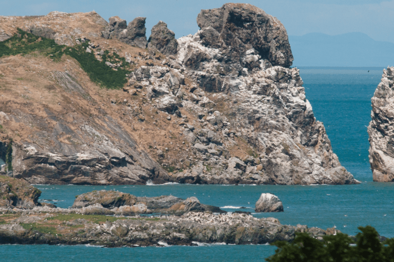 Dublino: Tour in barca della Baia di Dublino e dell&#039;Occhio d&#039;Irlanda