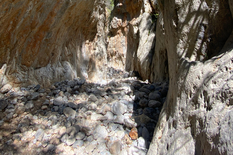 Creta: Tour guiado de senderismo por el Cañón de Kritsa