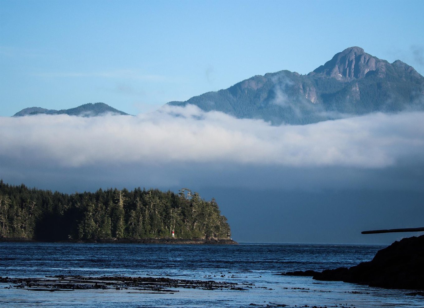 Telegraph Cove: 2-timers kajaktur om dagen eller aftenen