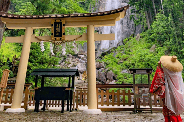 Osaka/Kyoto: Mount Koya &amp; Wakayama Privat dagsutflykt med guideRundresa från Osaka