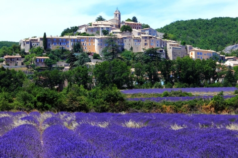 Excursión de un día, lo mejor de PROVENZA: Aix-en-Provence y Cassis