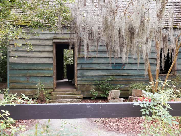 Charleston Magnolia Plantation Tour and Transport GetYourGuide