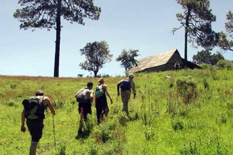 Oaxaca: Pueblos Mancomunados Hiking Tour