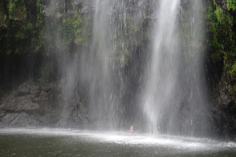 Moshi/Arusha:Chemka HotSpring,Materuni Waterfall,Coffee tour Chemka HotSpring,Materuni Waterfall,Coffee tour and transfer