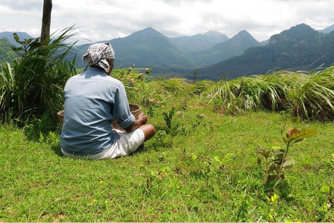 Kochi: Attappadi & Silent Valley 2-Day Tour with Meals