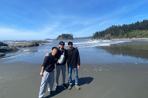 Seattle: Rainforest and Olympic National Park Highlights Olympic National Park: Rainforest, Beach, and highlights