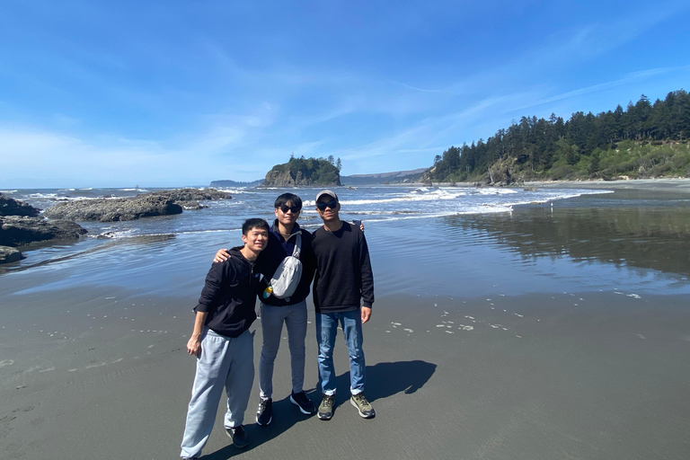 Seattle: Rainforest and Olympic National Park Highlights Olympic National Park: Rainforest, Beach, and highlights