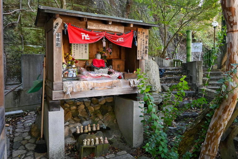 1-Day Tour in Hiroshima: Rabbit Island and Takehara Town