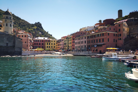 Z Florencji: Jednodniowa wycieczka w małej grupie do Cinque Terre i Pizy