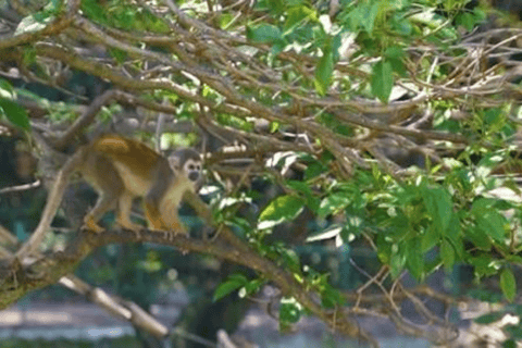 Quito: Zoo Tour with Transportation and Admission or Ticket