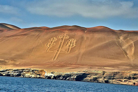 Från Paracas: Ballestasöarna och Paracas nationalreservat