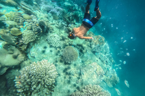 Nha Trang: Aventura de mergulho com snorkel de meio dia com churrasco a bordoExperiências de excursão e banho de lama
