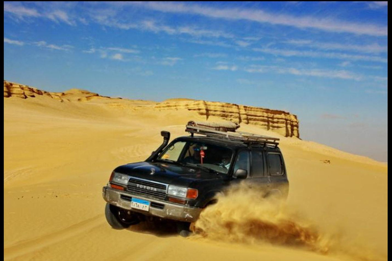 From Cairo: 4x4 Desert Safari, Waterfalls & Magic Lake Shared Tour: Wadi El Rayan, Magic Lake & Lake Qarun, Jeep