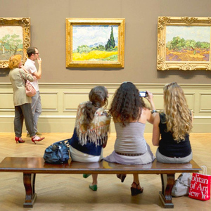 The Met Museum Guided Tour with Skip-the-Line Entry