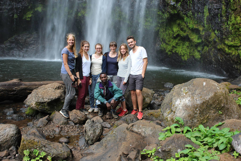 Moshi: Marangu Waterfalls and Chagga Tribe Day Tour