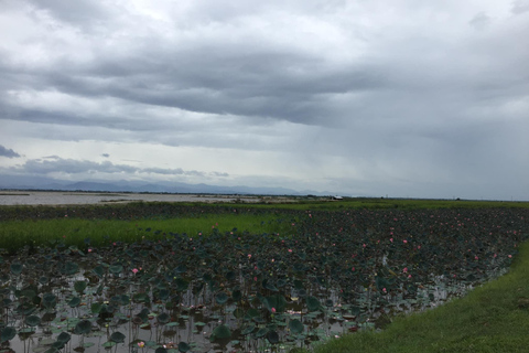 Gita pomeridiana per visitare la laguna di Tam Giang