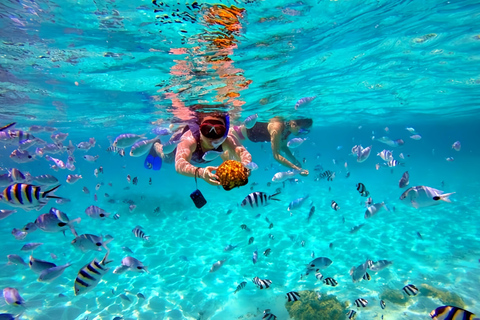 Visita às ilhas Cham e mergulho com snorkel e autônomoExcursão em grupo