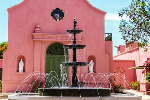 Excursión de un día a la Bodega Tacama