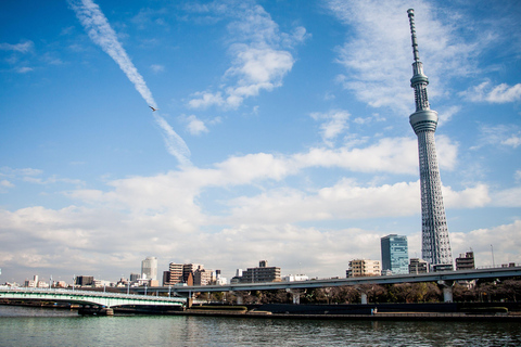 Tour privado de Tokio con conductor de habla inglesa