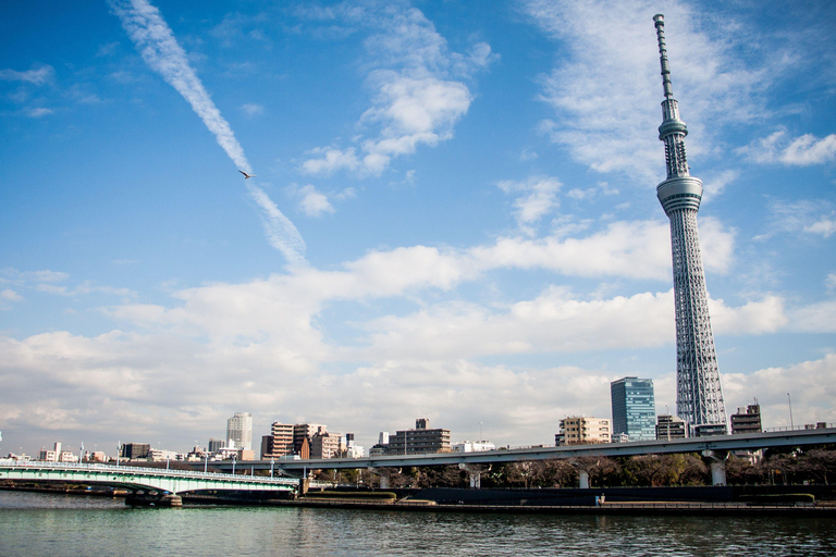 Tour panoramico privato di Tokyo con autista parlante inglese