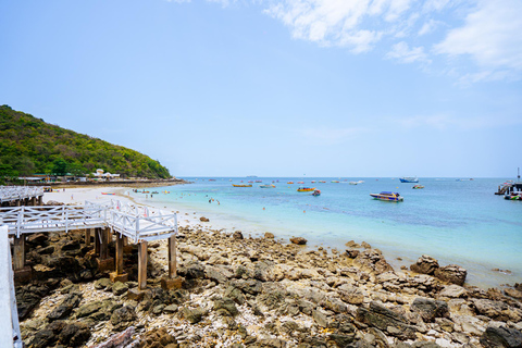 Pattaya's India Coral Island Specialists Local Experts