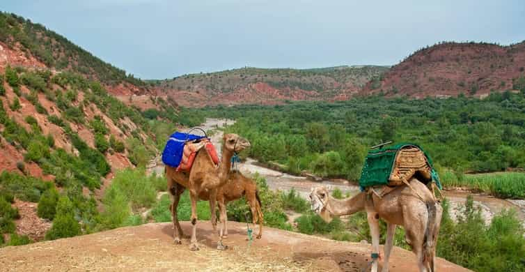 Dagtocht Naar Het Atlasgebergte En Valleien Vanuit Marrakech