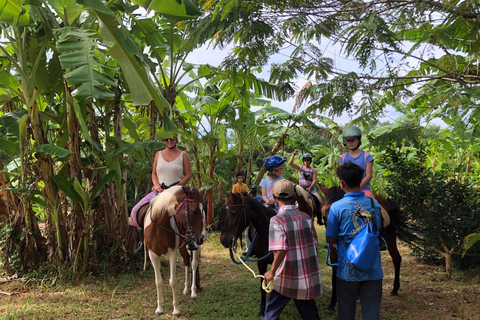 Phuket Jungle Horseback Ride with Scenic Forest Views Adventure Trail (2 Hrs)