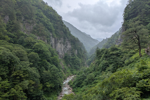 From Kanazawa: Hakusan White Road and Shirakawago Village