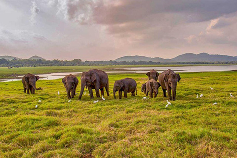 3-Day Mahiyanganaya Wildlife, Waterfalls, Culture, Yala Drop