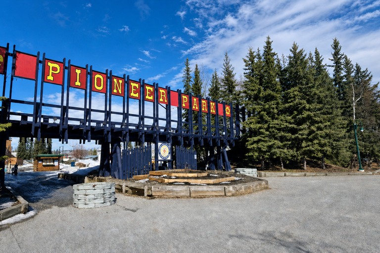 Fairbanks: Highlight Winter City Tour